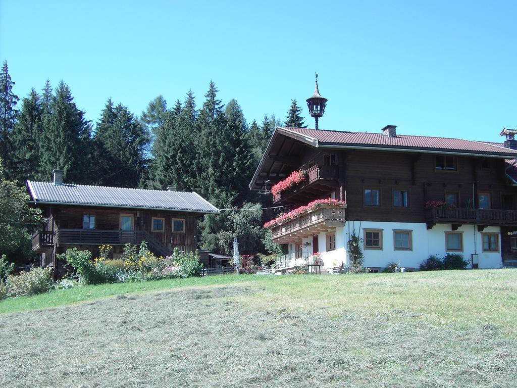 Mitterhaidgut Villa Hollersbach im Pinzgau Esterno foto
