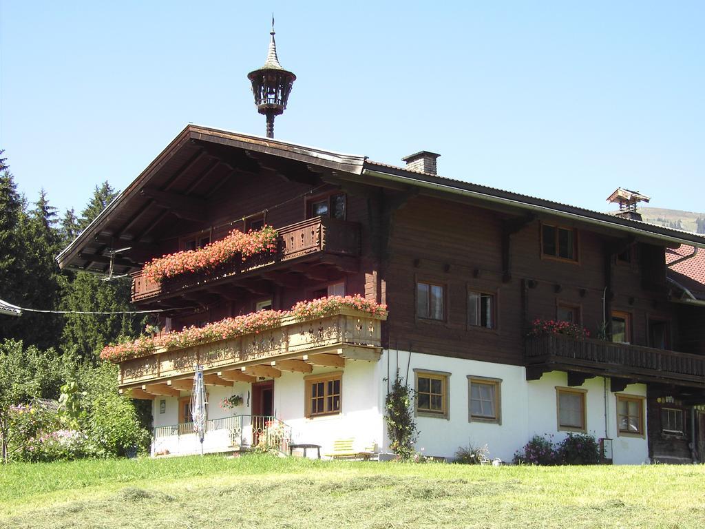 Mitterhaidgut Villa Hollersbach im Pinzgau Esterno foto